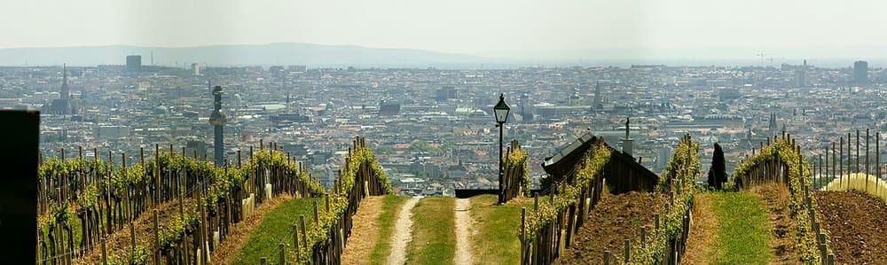 Nussberg, Vienna, Austria (Wimup)