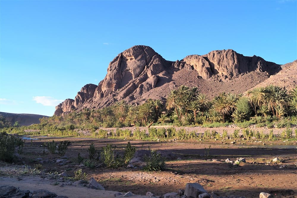 Oasis de Fint, Ouarzazate, Morocco (Wimup)