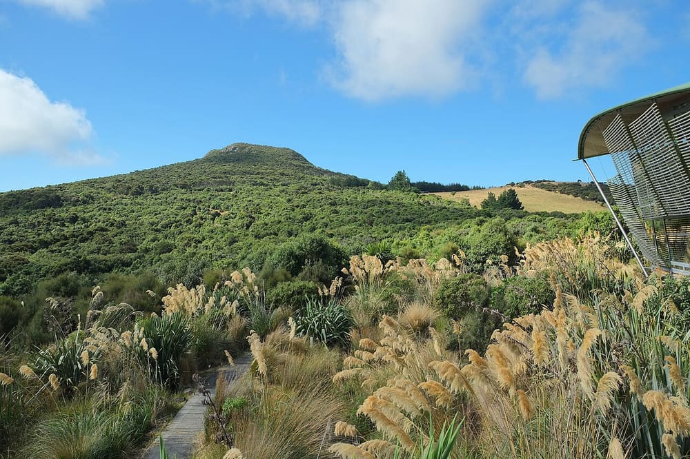Orokonui Ecosanctuary, Dunedin, New Zealand (Wimup)