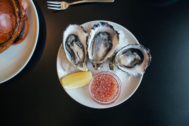 Oysters from Oualidia, Essaouira (Wimup travel guide)
