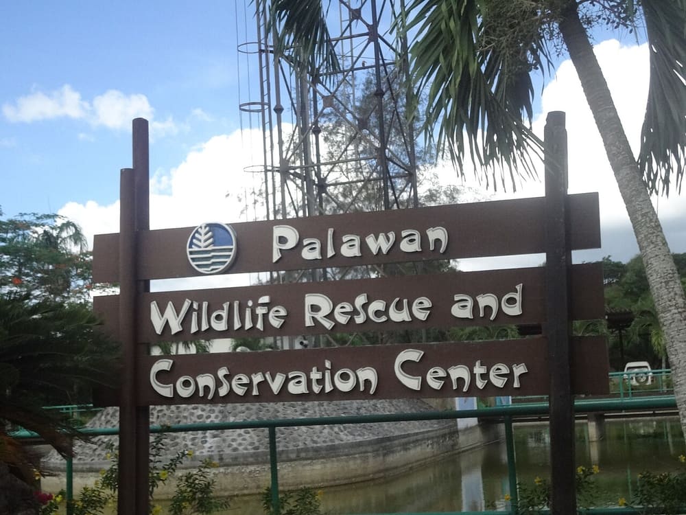 Palawan Wildlife Rescue and Conservation Center, Puerto Princesa (Wimup)