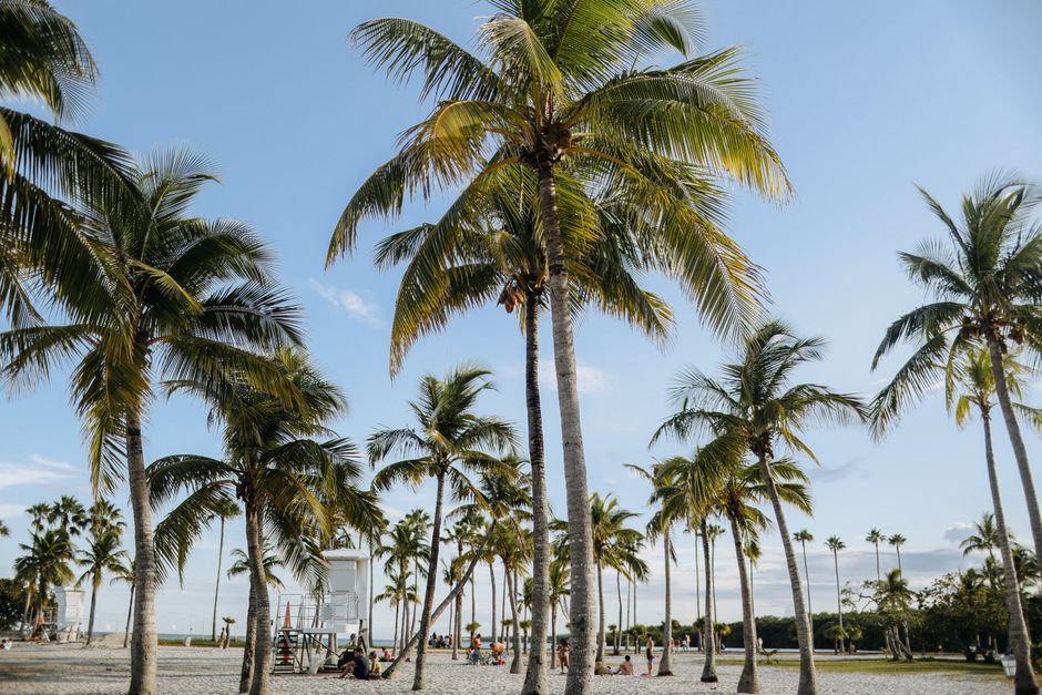 Palm Beach