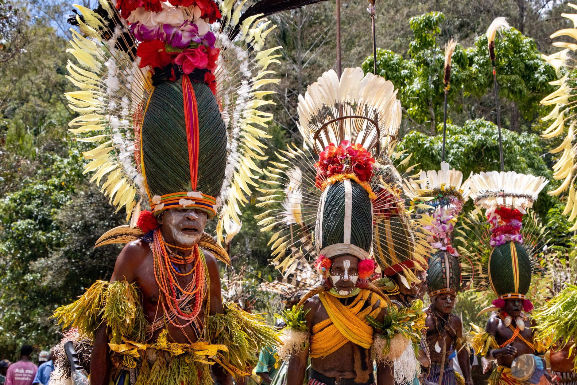 Papua New Guinea, Wimup country guide