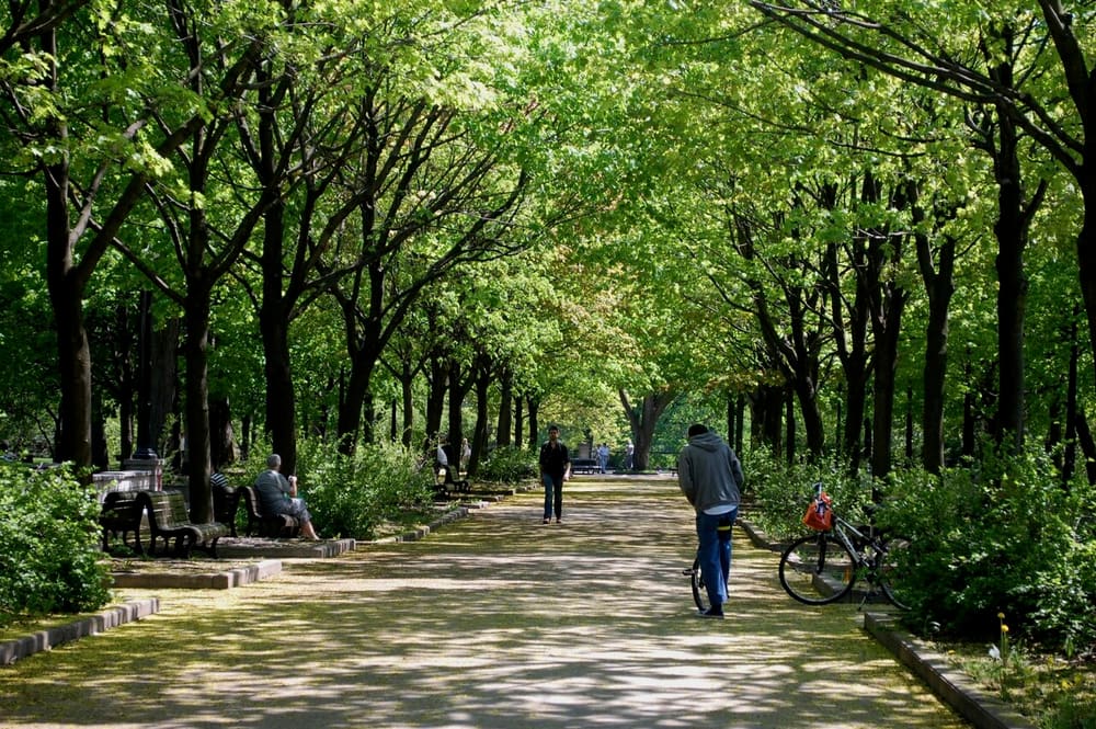 Parc La Fontaine