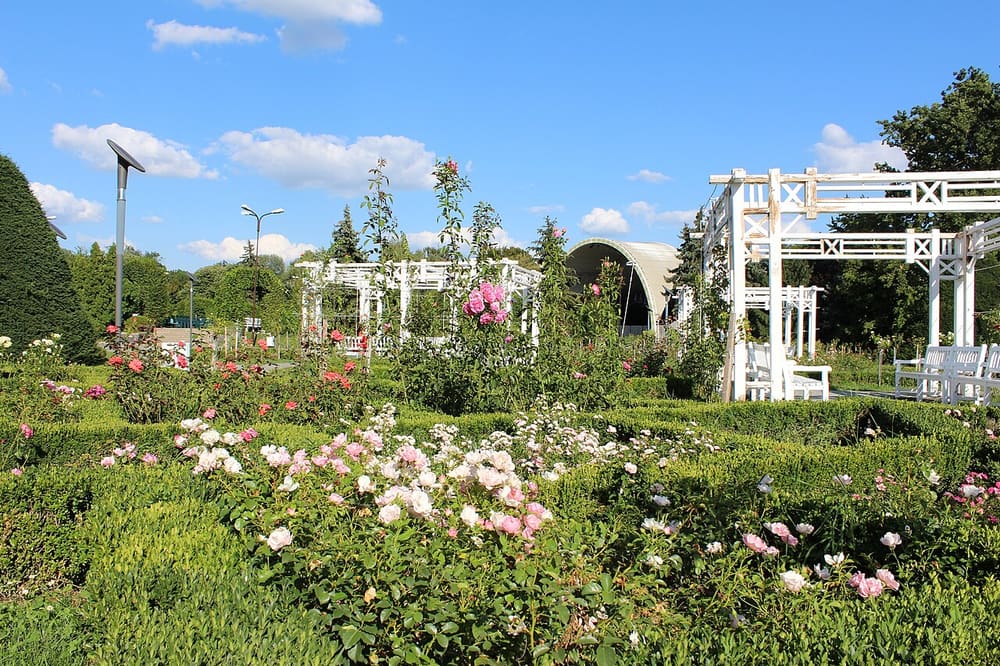 Parcul Rozelor, Timișoara, Romania (Wimup)