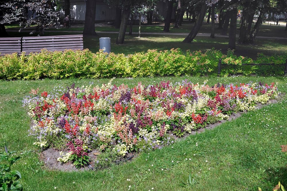 Park Północny