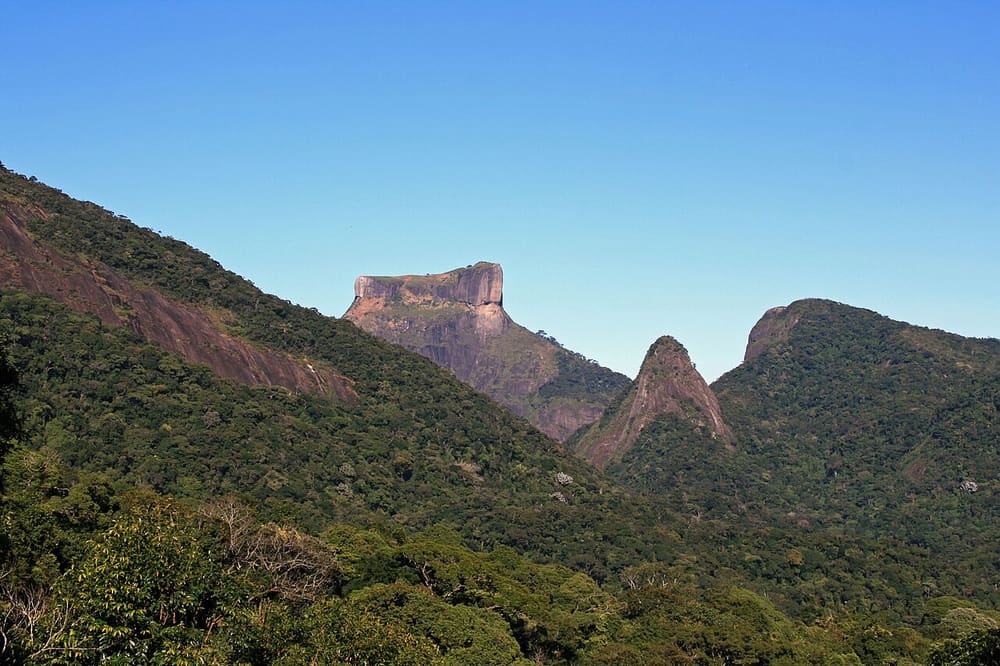 Parque Nacional da Tijuca, Rio de Janeiro, Brazil (Wimup)