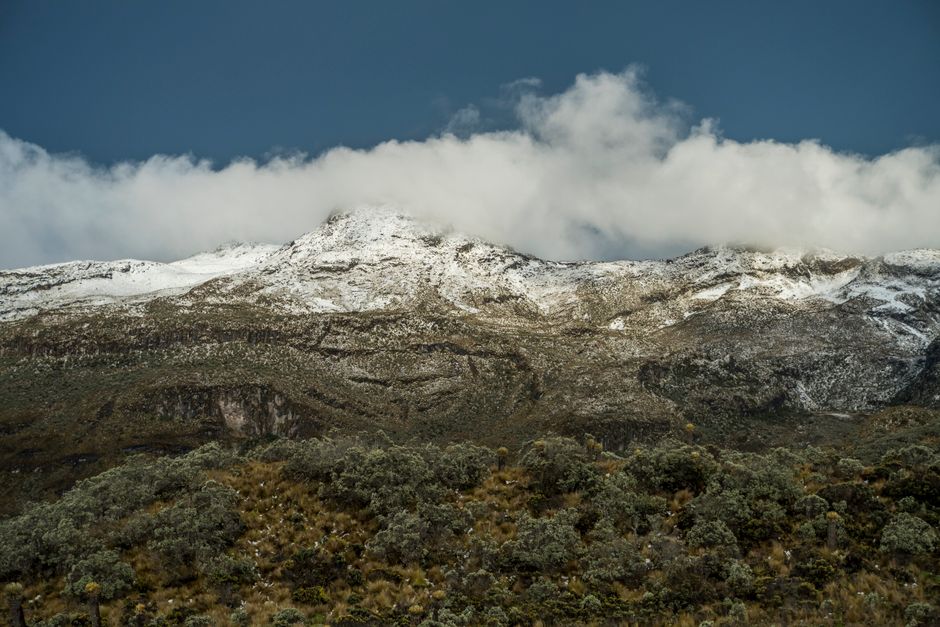 Parque Nacional Natural Chingaza