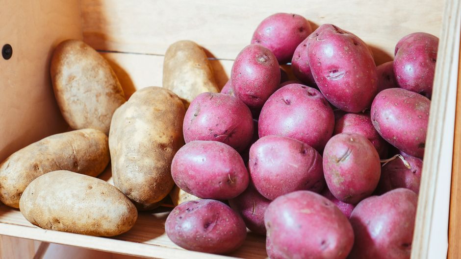 PEI potatoes, Charlottetown (Wimup travel guide)