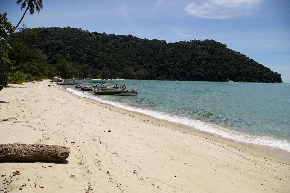 Penang National Park, Penang, Malaysia (Wimup)