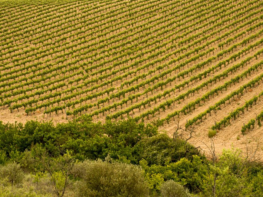 Penedès wine country