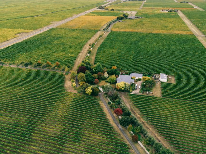 Puddleduck Vineyard