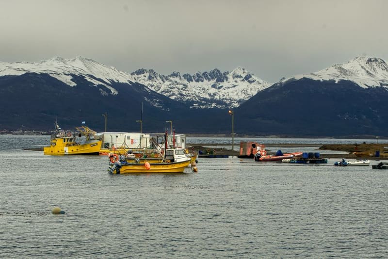 Puerto Almanza and the Ruta de la Centolla, Ushuaia, Argentina