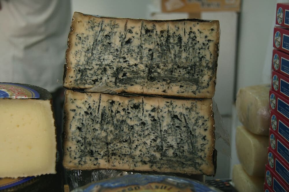 Queso de Valdeón, León (Wimup travel guide)