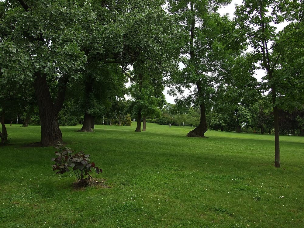 Riegrovy sady