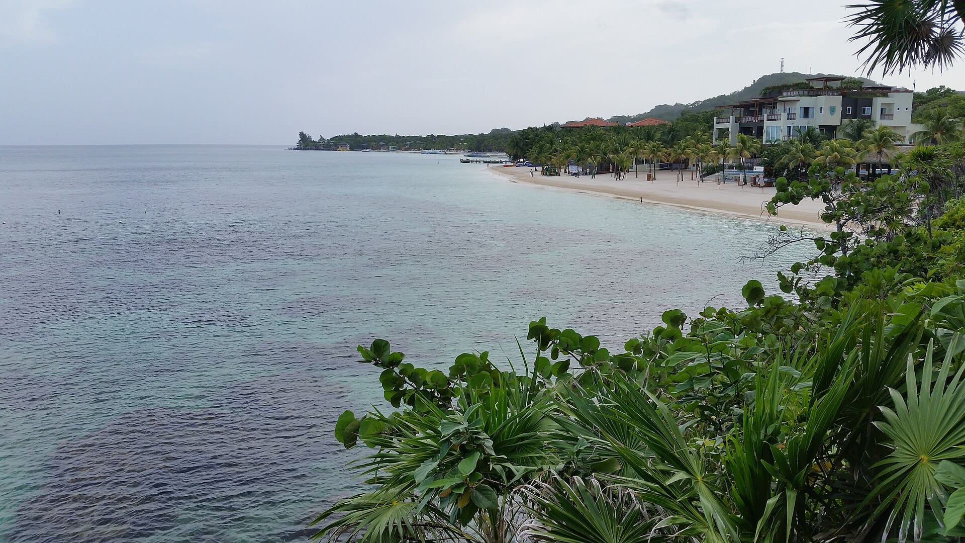 Roatan, Honduras, top 10 things to do (Wimup travel guide)