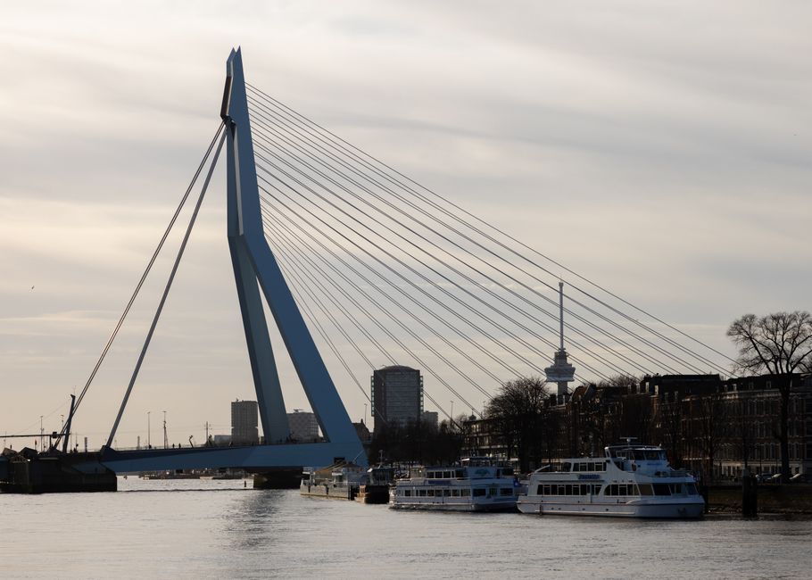 Rotterdam