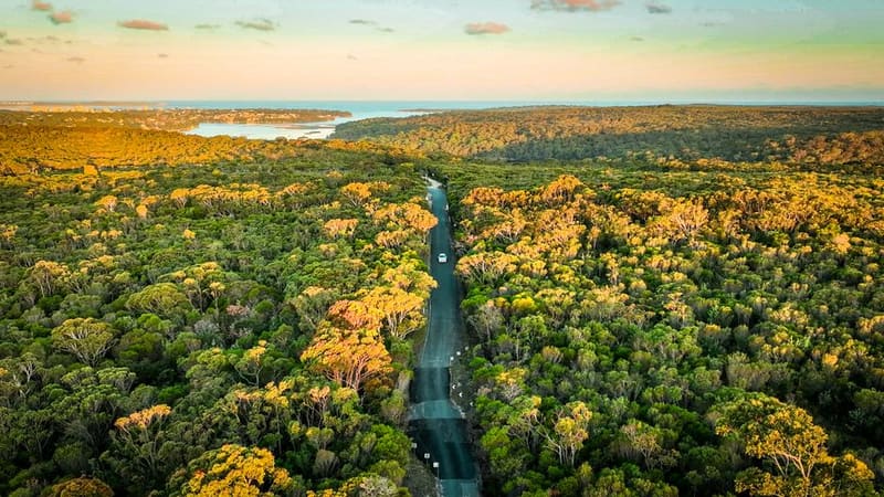 Royal National Park