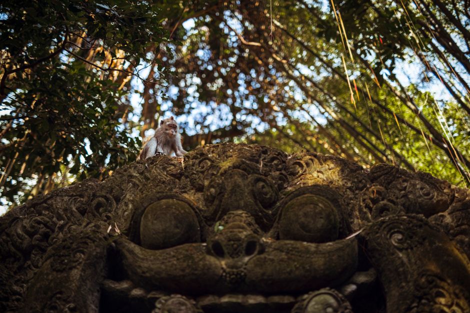 Sacred Monkey Forest Sanctuary, Ubud, Bali, Indonesia
