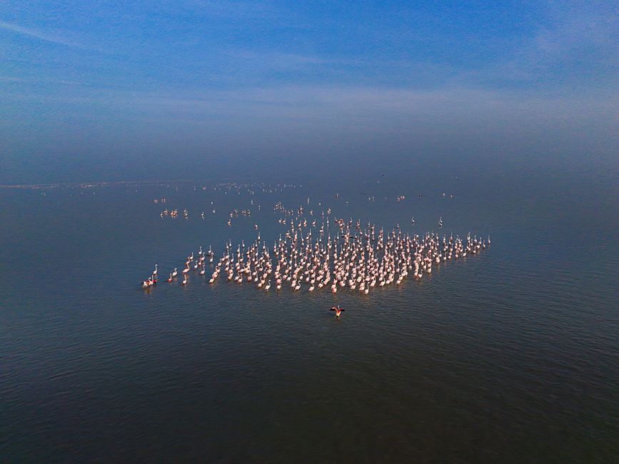 Sambhar Salt Lake