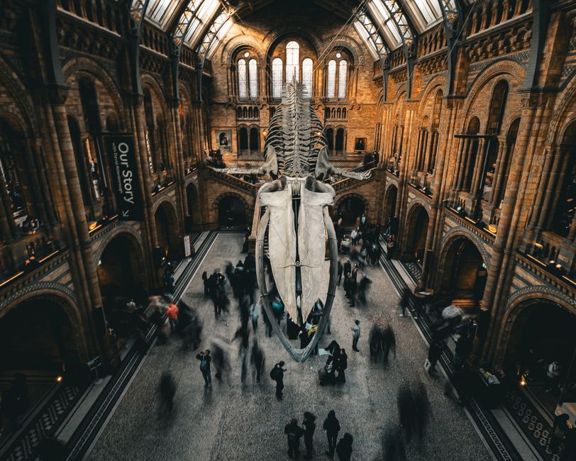 Science Museum