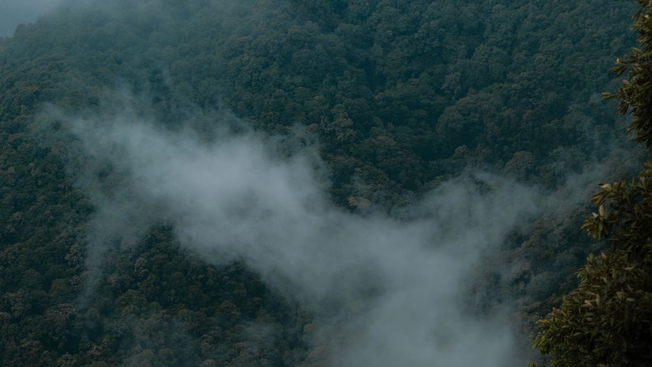 Shivapuri Nagarjun National Park