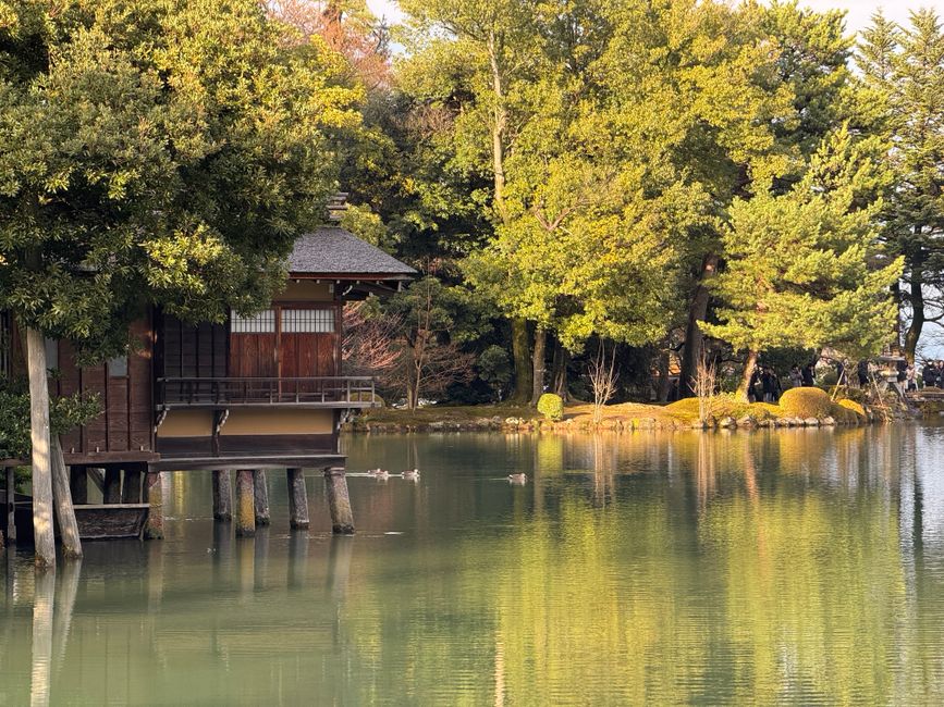 Sit with the water at the D.T. Suzuki Museum, Kanazawa, Japan