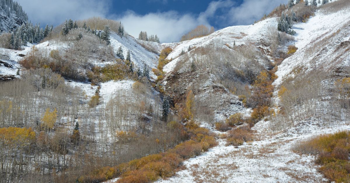 Aspen Snowmass, Colorado, USA, skiing travel guide (Wimup)
