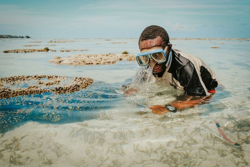 Snorkel Mnemba Atoll, Zanzibar, Tanzania