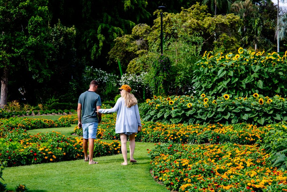 Spend a morning in the Adelaide Botanic Garden, Adelaide, Australia