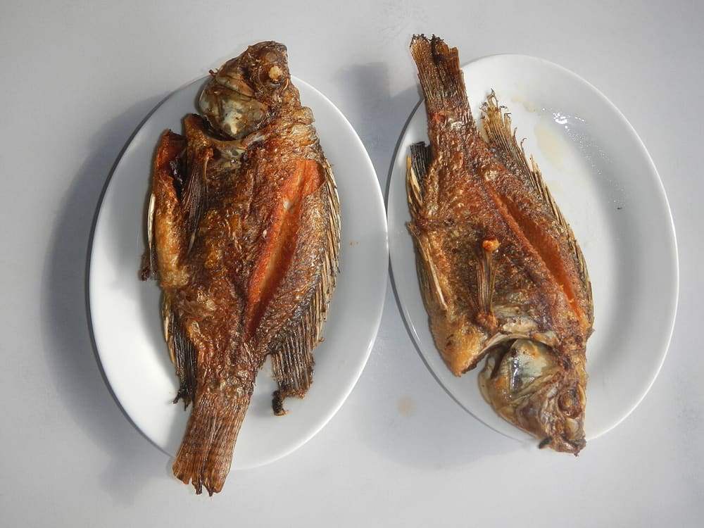 St Peter's fish, Tiberias (Wimup travel guide)