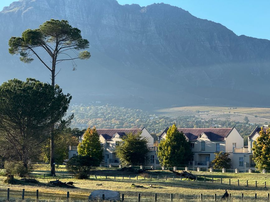 Stellenbosch