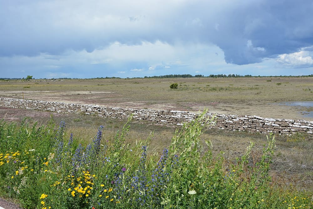 Stora Alvaret