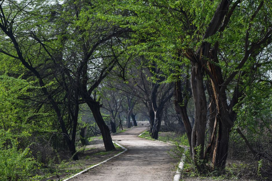 Sultanpur National Park
