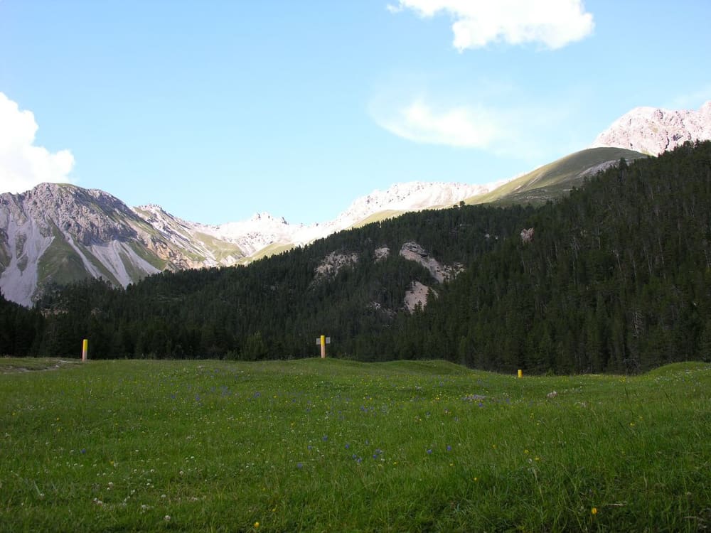 Swiss National Park