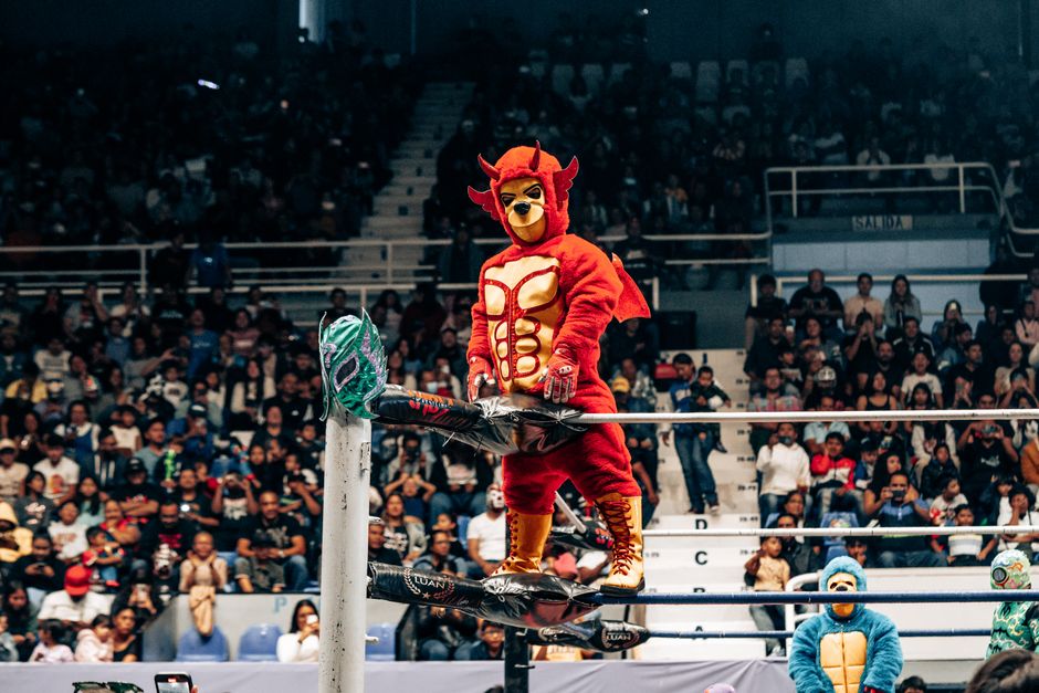 Take a Friday night at the lucha libre in Arena México, Mexico City, Mexico