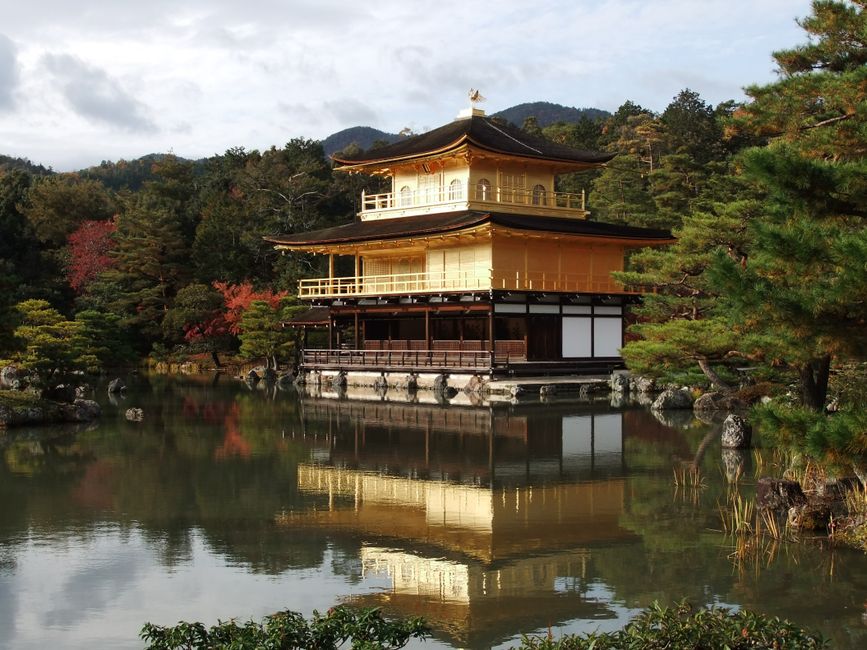 Take Kinkaku-ji at opening time, Kyoto, Japan