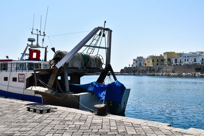 Take the morning at the fish quay on the old harbour, Bari, Italy