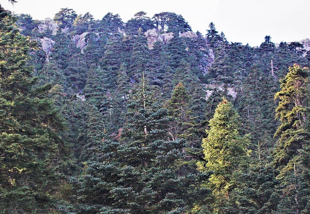 Talassemtane National Park, Chefchaouen, Morocco (Wimup)