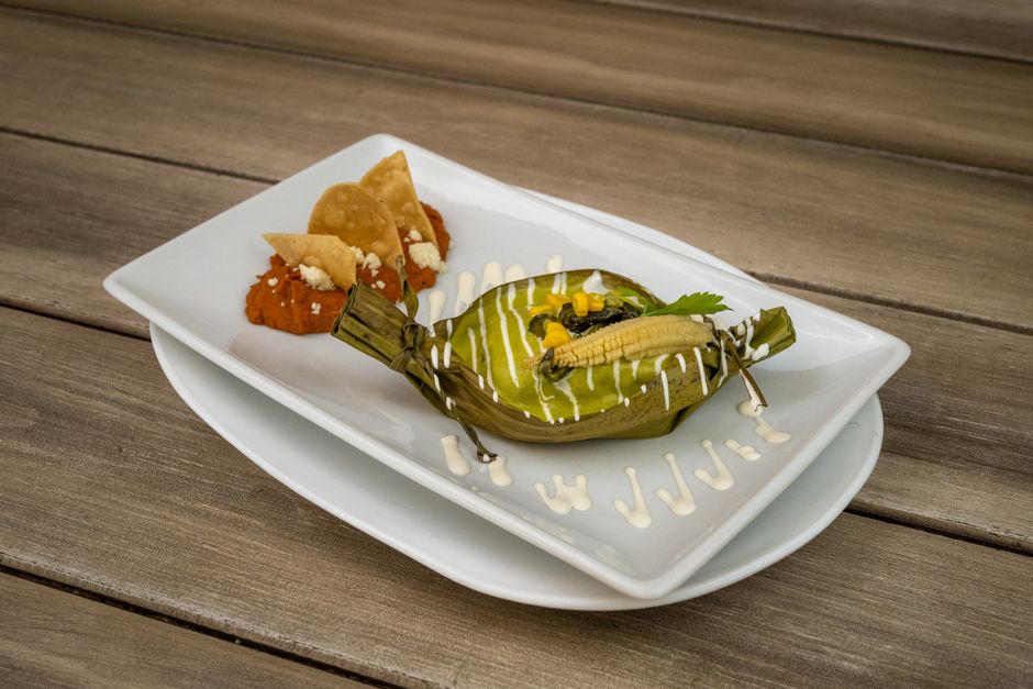 Tamales, Mexico dish (Wimup)