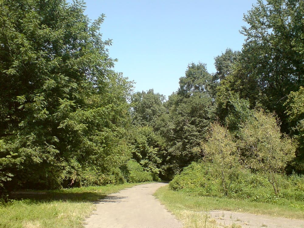 Tashkent Botanical Garden