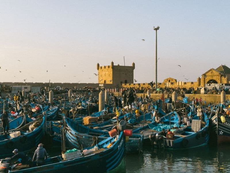 The fishing port and Skala du Port, Essaouira, Morocco