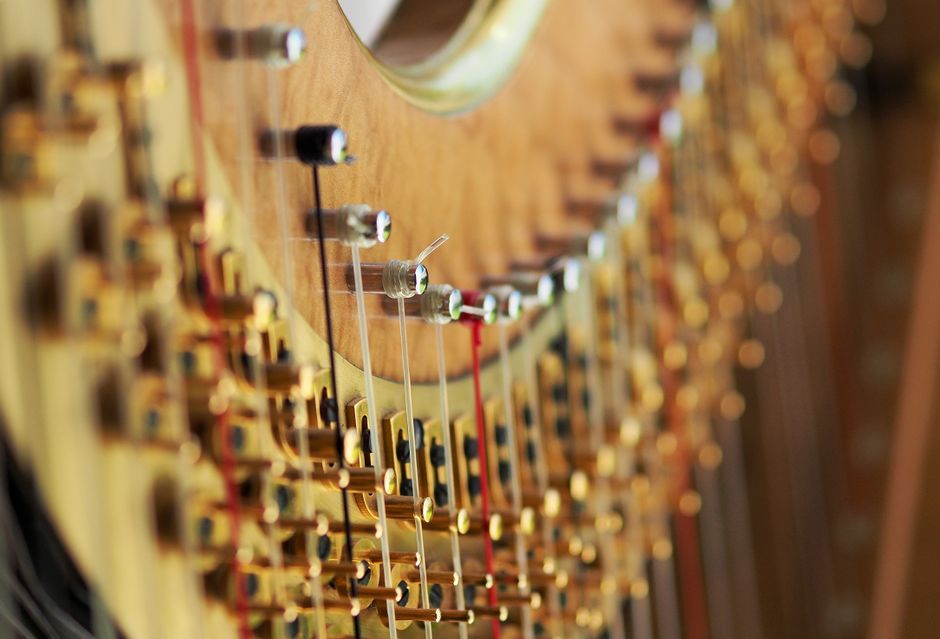 The Harp