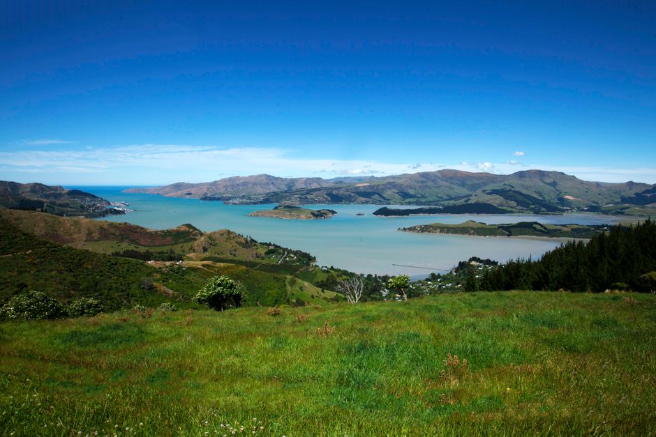 The Port Hills