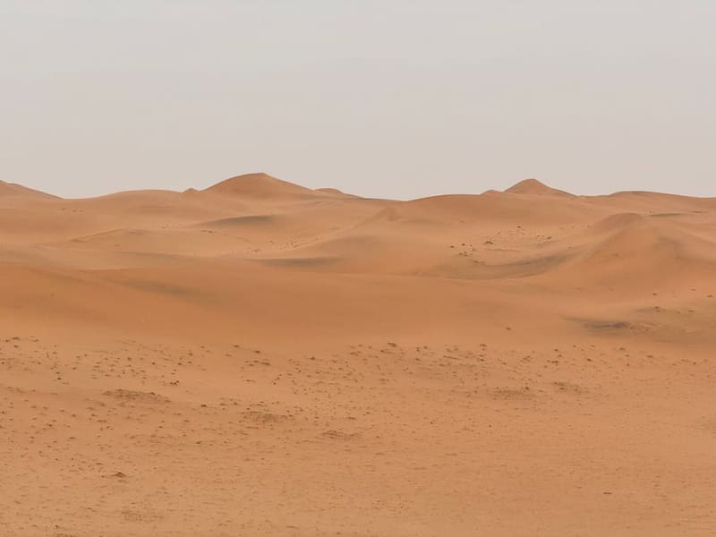 The Red Sand Dunes