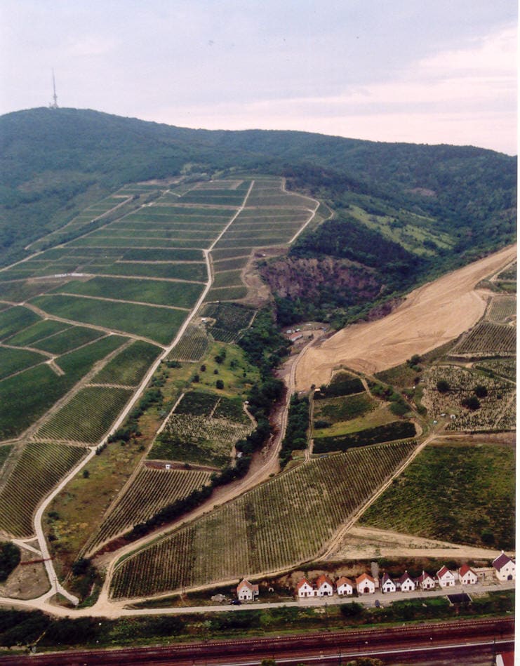 Tokajské víno, Slovakia (Wimup)