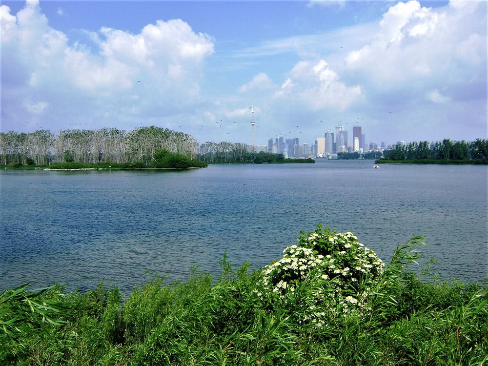 Tommy Thompson Park