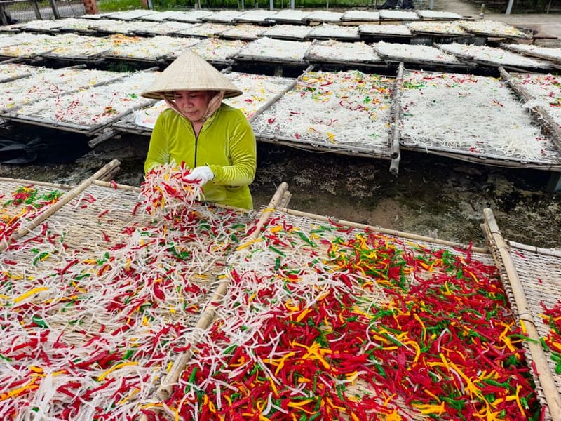 Tra Que Vegetable Village, Hoi An, Vietnam
