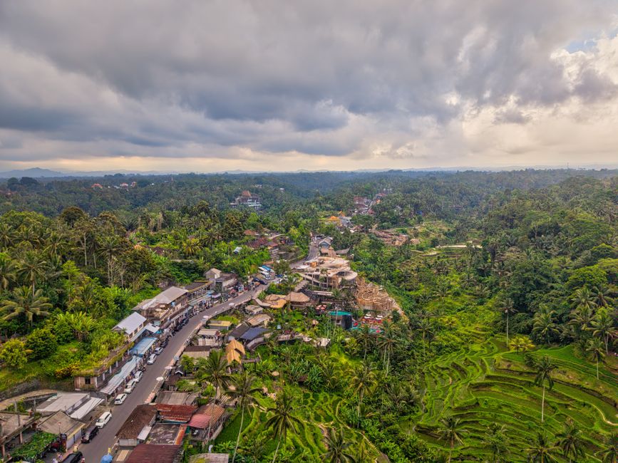Ubud, Bali, Indonesia, Wimup city guide