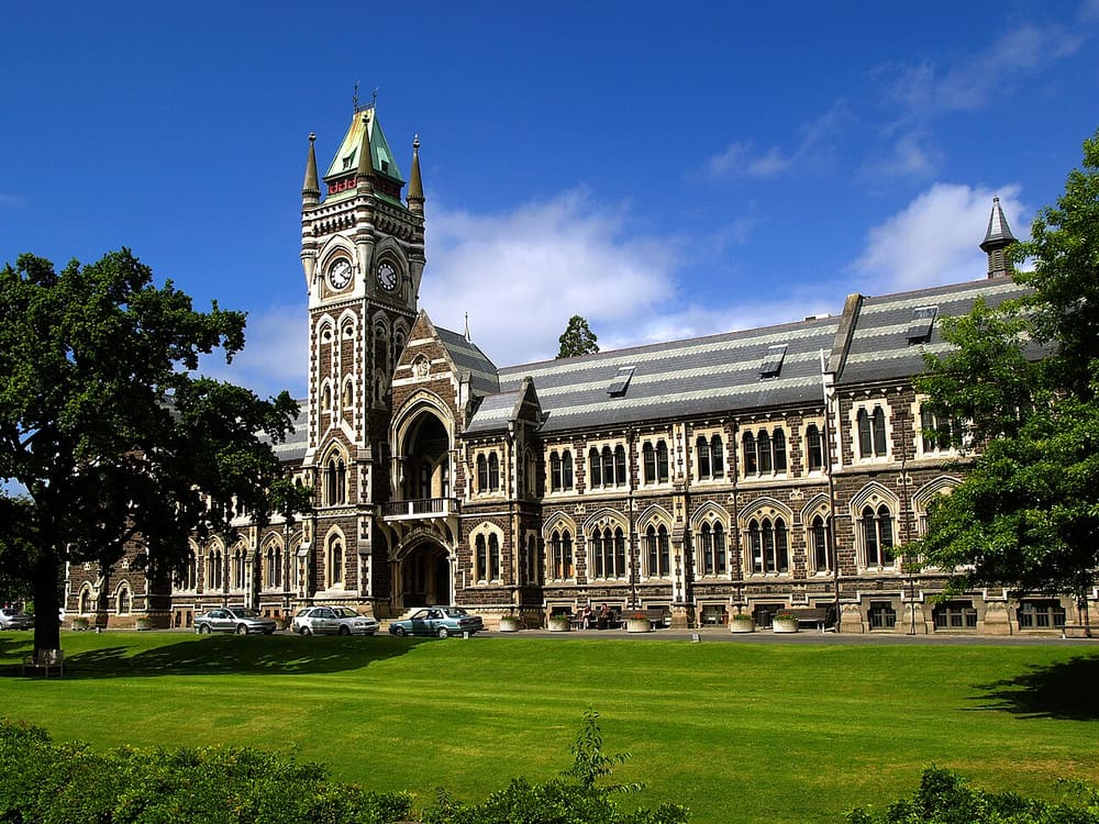 North Dunedin